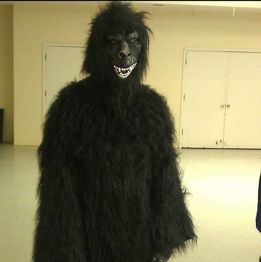Gorilla costume